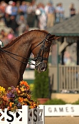 Isabell Werth and Warum  Nicht FRH WEG 2010