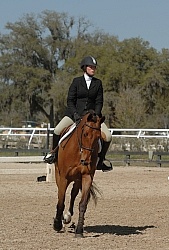 Hunter in Ring on Flat