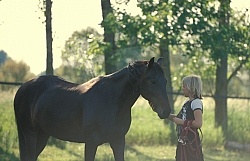Standardbred Adopted