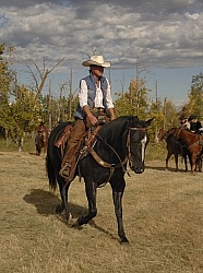 Wild Deuce Working Mountain Horse Competition