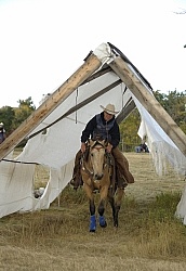 Wild Deuce Working Mountain Horse Competition