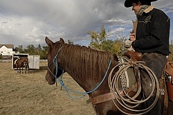 Wild Deuce Working Mountain Horse Competition