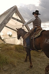 Wild Deuce Working Mountain Horse Competition