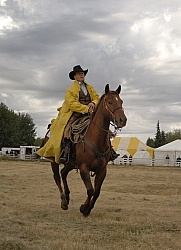 Wild Deuce Working Mountain Horse Competition
