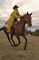 Wild Deuce Working Mountain Horse Competition