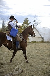 Wild Deuce Working Mountain Horse Competition