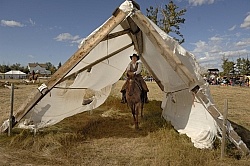 Wild Deuce Working Mountain Horse Competition