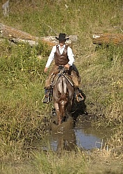 Wild Deuce Working Mountain Horse Competition