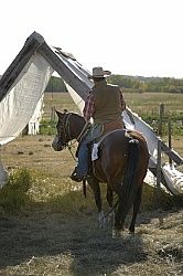 Wild Deuce Working Mountain Horse Competition