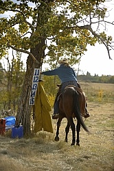 Wild Deuce Working Mountain Horse Competition