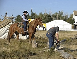 Wild Deuce Working Mountain Horse Competition