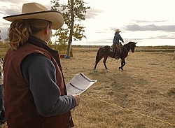 Wild Deuce Working Mountain Horse Competition