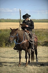 Wild Deuce Working Mountain Horse Competition