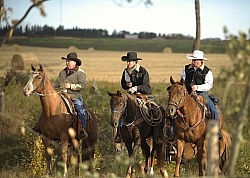 Wild Deuce Working Mountain Horse Competition