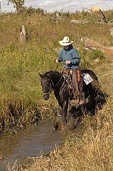 Wild Deuce Working Mountain Horse Competition