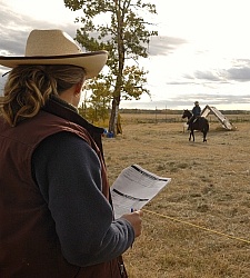 Wild Deuce Working Mountain Horse Competition