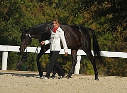 Jessica Phoenix and Exponential