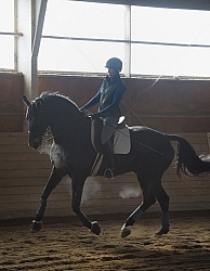 Dressage Schooling in Indoor Arena in Winter 