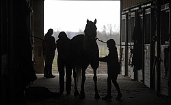 Silhouette of Young Girl Grooming