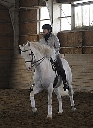  Lusitano Schooling Dressage