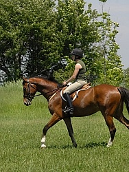 Schooling English in Summer