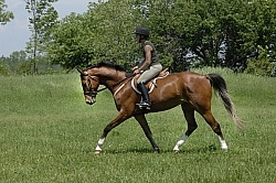 Schooling English in Summer