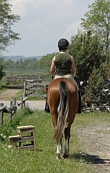 Schooling English in Summer