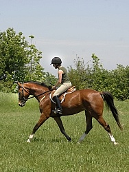 Schooling English in Summer