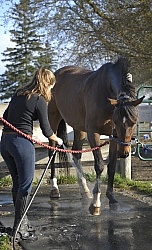Bathing In Outdoor Washstall Hilltop 