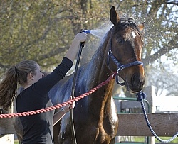 Bathing In Outdoor Washstall Hilltop 