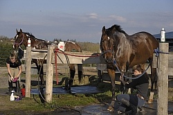 Bathing In Outdoor Washstall Hilltop 
