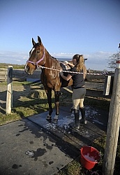 Bathing In Outdoor Washstall Hilltop 