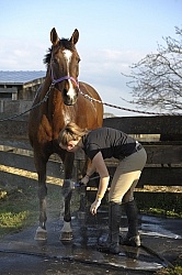 Bathing In Outdoor Washstall Hilltop 