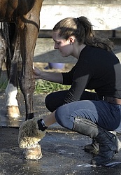 Bathing In Outdoor Washstall Hilltop 