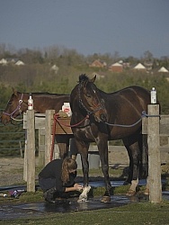 Bathing In Outdoor Washstall Hilltop 