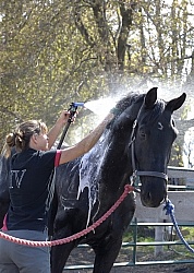 Bathing In Outdoor Washstall Hilltop 