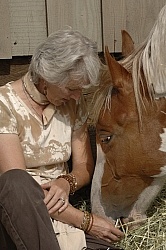 Horse and Human Bond