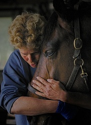 Horse and Human Bond