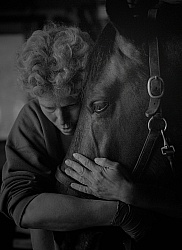 Horse and Human Bond