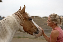 Horse and Human Bond