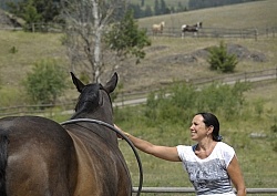 Natural Horsemanship
