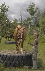 Natural Horsemanship