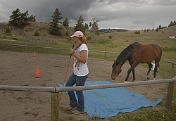 Natural Horsemanship