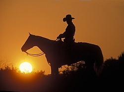 Silhoutte of Western Horse and Rider