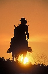 Silhoutte of Western Horse and Rider