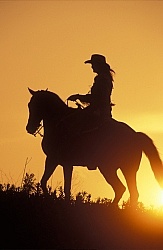 Silhoutte of Western Horse and Rider