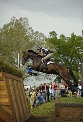 Karen O'Connor and Mandiba Rolex 2010