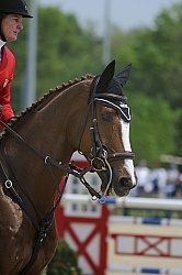 Karen O'Connor and Mr. Medicott Rolex 2012