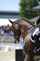 Karen O'Connor and Mr. Medicott Rolex 2012
