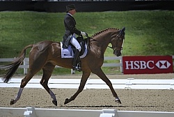 Karen O'Connor and Mr. Medicott Rolex 2012